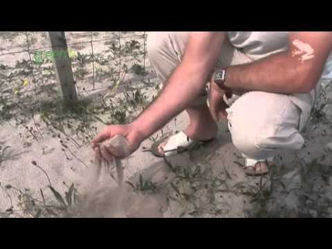 The Outer Hebrides of James MacLetchie