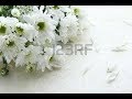 Live Telecast Funeral Service