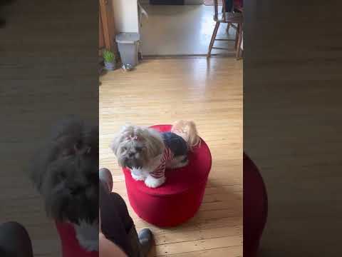 Training session with Wilhelmina