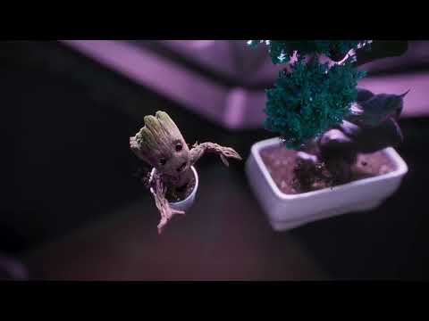 Groot Birth Scene   I am Groot Season 1 Episode 1
