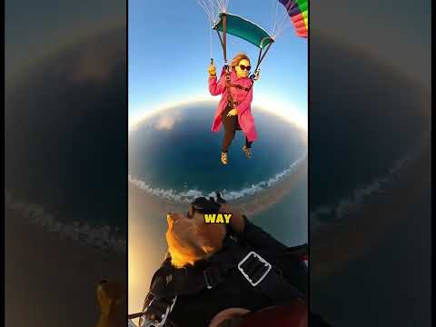 A women threw her dog off the hot balloon 🐶 #rescue #dogs #dogsrescue