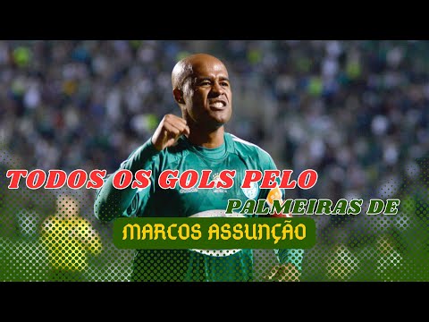 Todos os Gols de: Marcos Assunção pelo Palmeiras