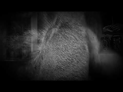 El Puñal de los CAÑETE