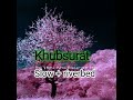 Khoobsurat (Video) Neha Kakkar, Raghav | Soundarya S, Adhik | Rohanpreet Singh | Rana S | Bhushan K