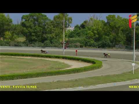 Prova di qualifica del 29 giugno 2022 - 2 Anni - Metri 1600