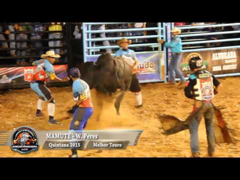 Rodeio de Quintana 2015 - MELHOR TOURO