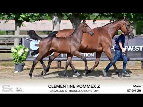 Clementine Pommex Z