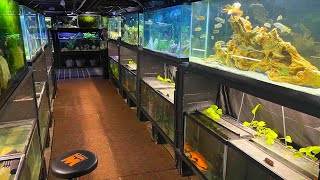 FISH ROOM UPDATE | WHAT
