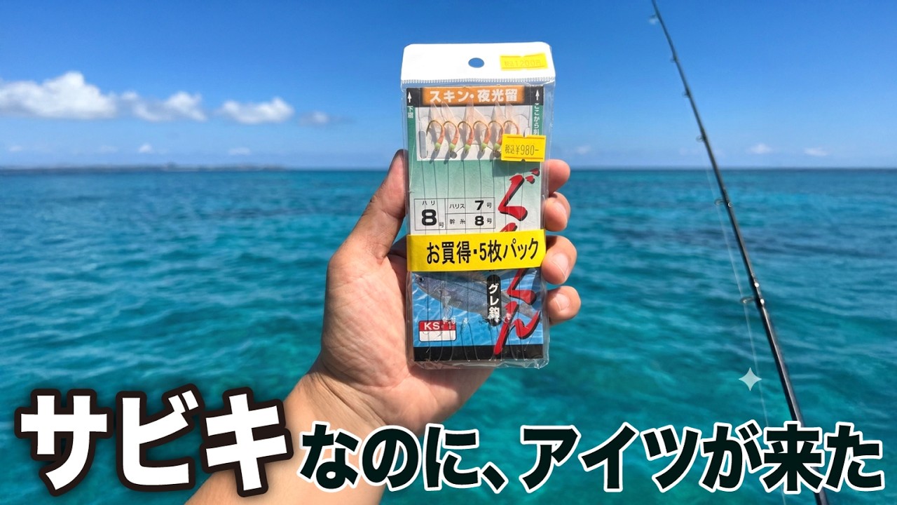 サビキを100m沈めたら化け物が食った。自分にだけなぜこうなる？海からの洗礼…