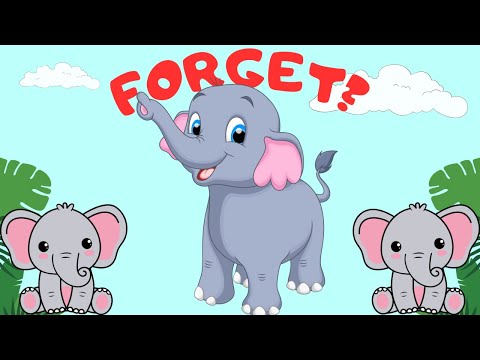 Why Elephants Never Forget - The Secrets Revealed!