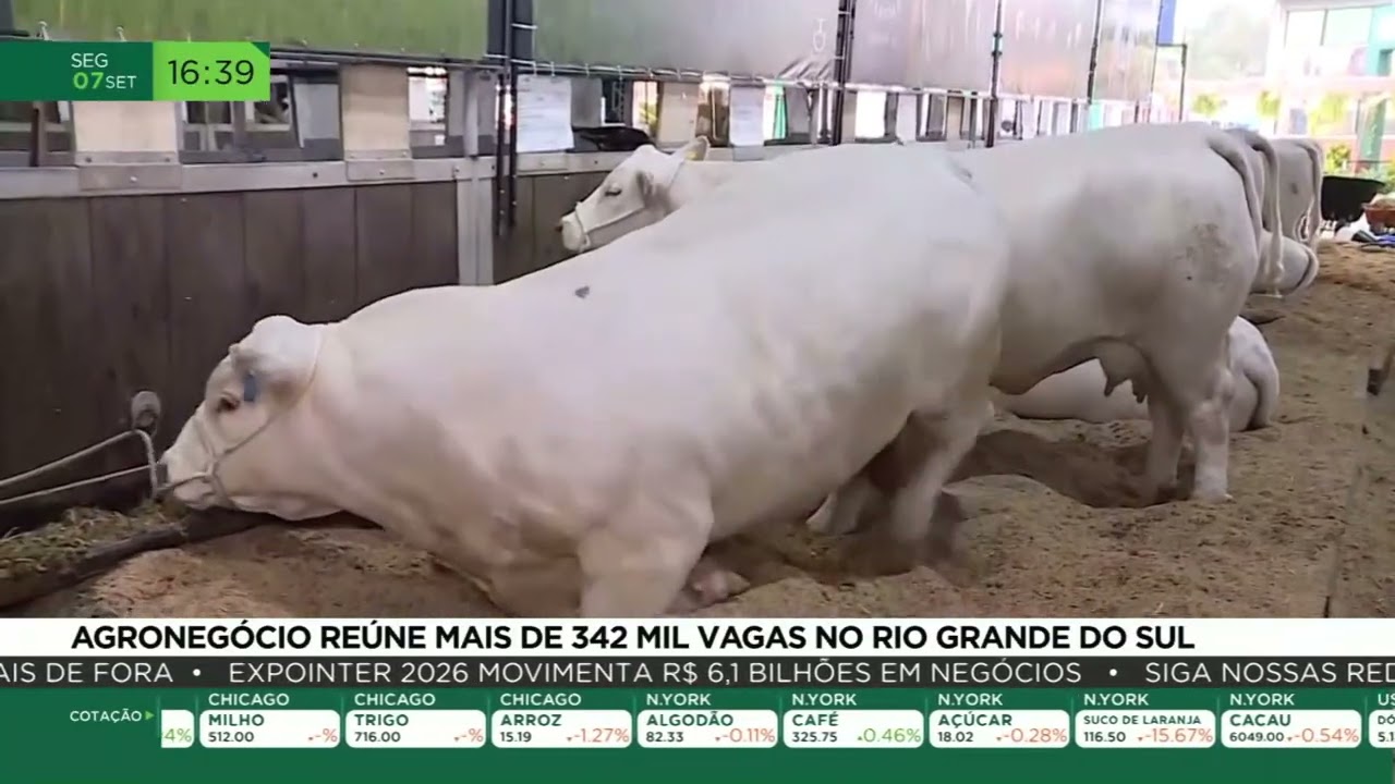 Agronegócio reúne mais de 342 mil vagas no Rio Grande do Sul