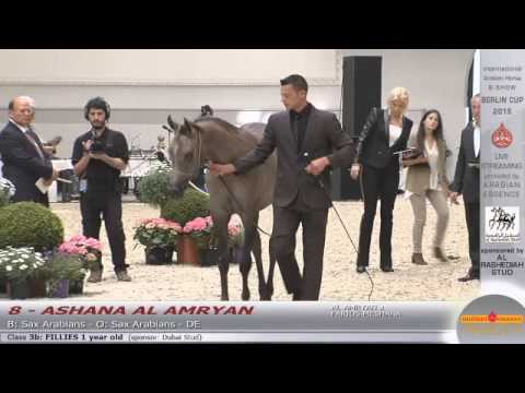 Berlin Cup Werder 2015 - Fillies 1 year old (Class 3B) - N.8 ASHANA AL AMRYAN
