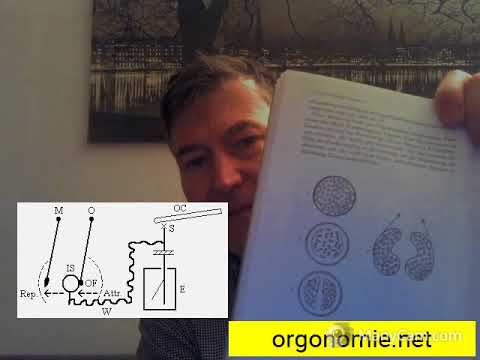 nachrichtenbrief101 - Wilhelm Reichs DER ORGONENERGIE AKKUMULATOR Teil 10