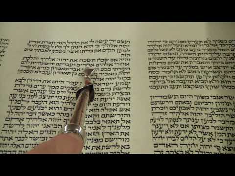 Torah Reading for Parashat Eikev Ekev Rabbi Moshe Weisblum קריאת התורה לפרשת עקב הרב משה ויסבלום