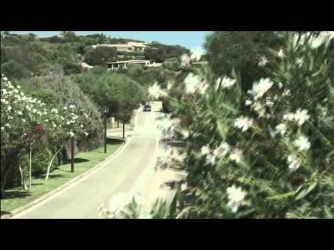 2015 VW Passat Estate