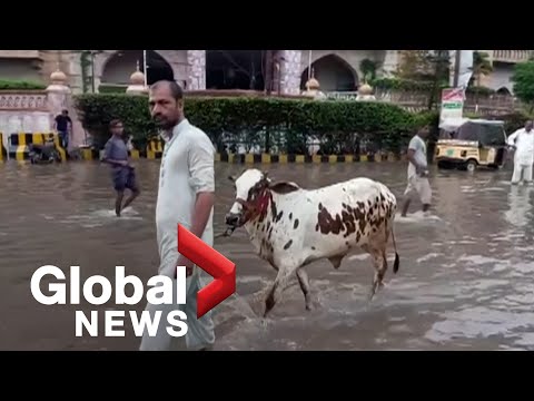 Flooding in Pakistan kills dozens as heavy monsoon rains batter the country