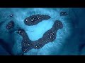Dominik Eulberg - Eintagsfliege  | Visual by Emil & Frederick Basting