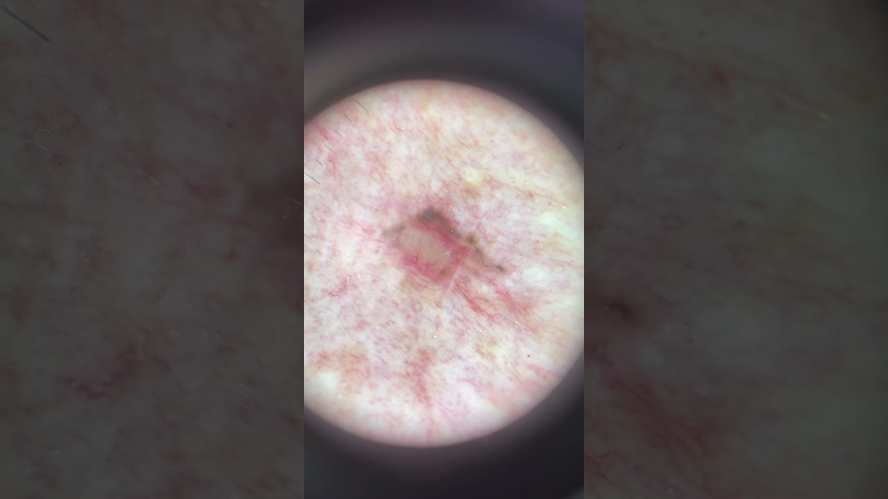 Lucas Taffarel Faustino Costa-2