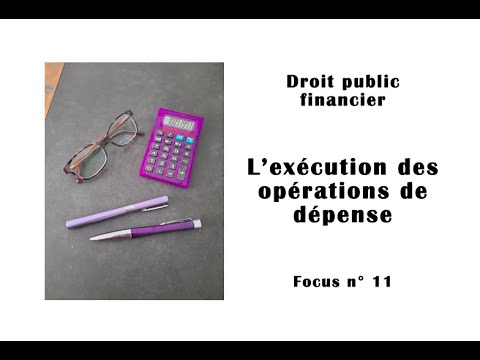 Focus n° 11 - L'exécution de la dépense publique