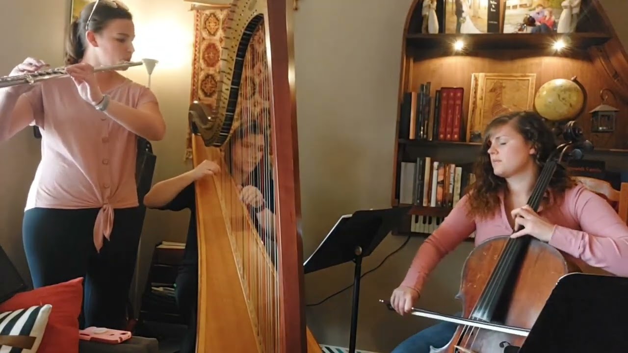 Promotional video thumbnail 5 for The Soenen Sisters - Harp Flute and Cello
