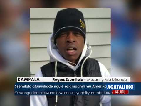 Ssemitala atunuulidde ngule ez'amaanyi mu Amerika