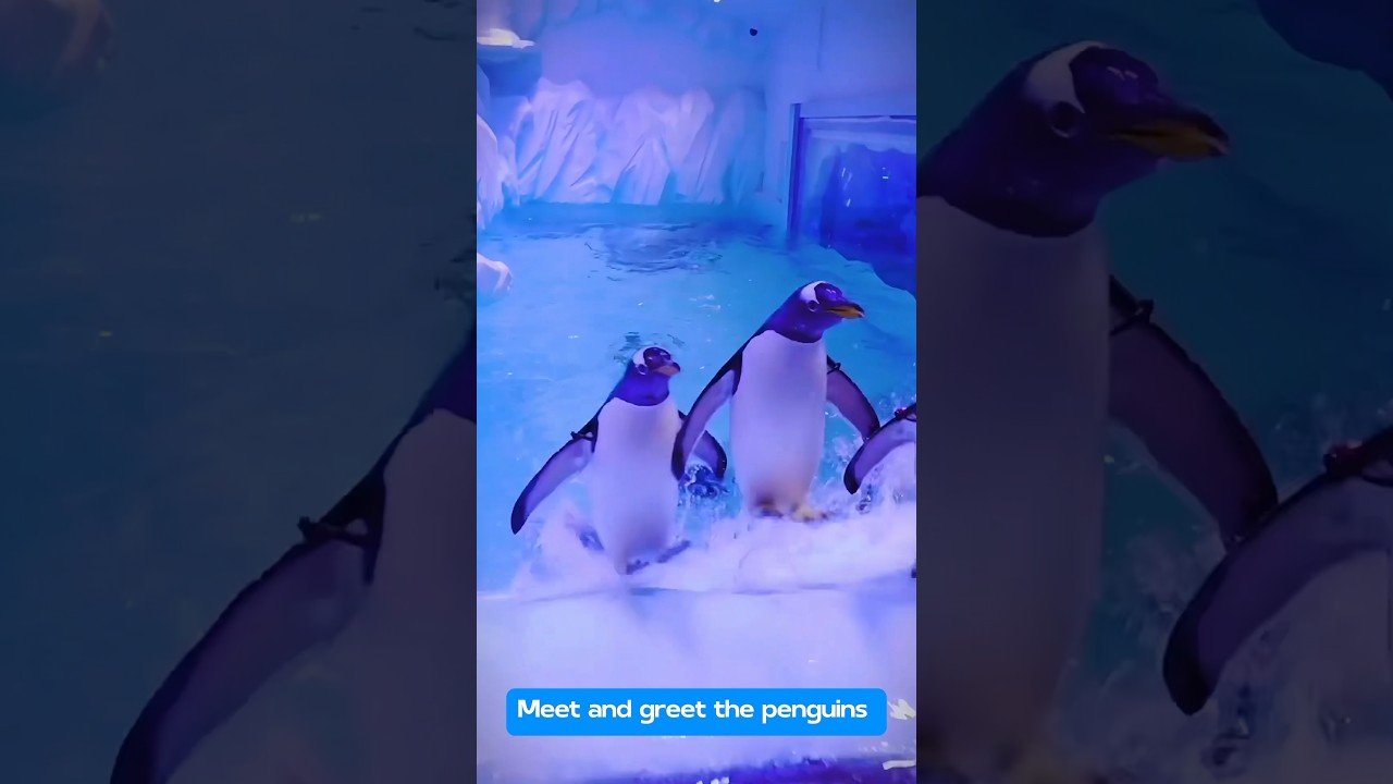 YouTube Short thumbnail