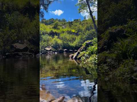 Capital das nascentes, Alfredo Wagner, Santa Catarina.