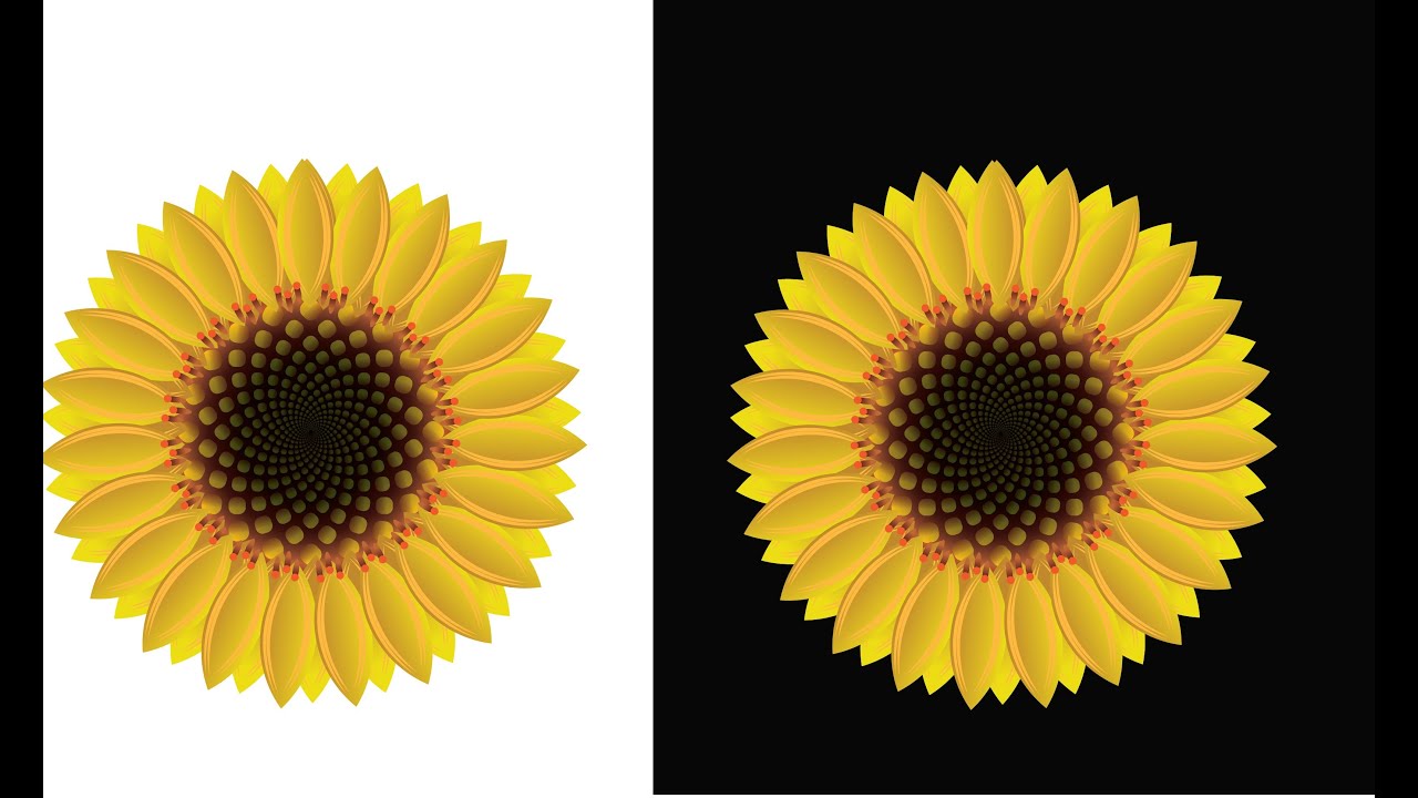 How to creative Sunflower vector Design in Illustrator #graphicdesign #design #grow #trending #logo