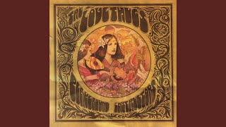 Welcome to My Castle