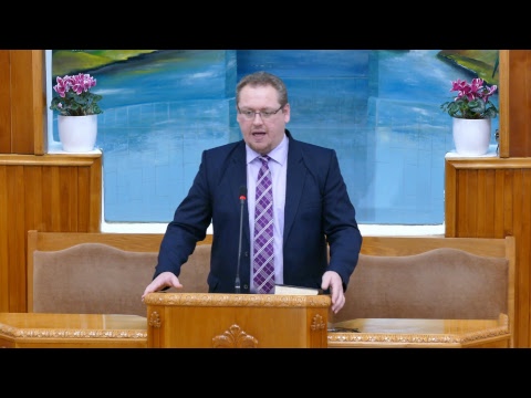 2019.02.24. V. de. | Nagy Ferencz