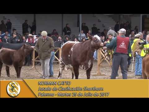 25-07-17 Nota Norman Catto - Jurado de Clasificacion Shorthorn - Palermo.