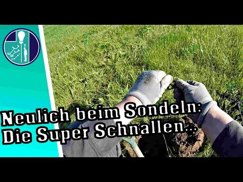 🔵Schnallen Funde beim Sondeln mit dem Metalldetektor auf der Wiese