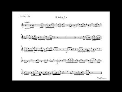 Albinoni, Tomaso - Trumpet Concerto G minor - Timofei Dokshizer  trumpet Bb