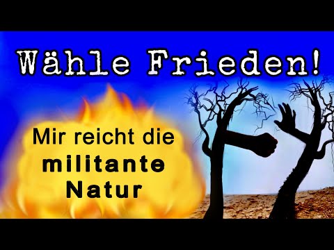 Stoppt den Wahnsinn! Kein Atomkrieg! - Mir reicht Krieg im Garten #Atomkriegsuhr #Abrüstung #Frieden