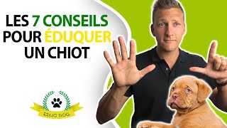 ✅ LE DRESSAGE DU CHIOT - Tutoriel Complet