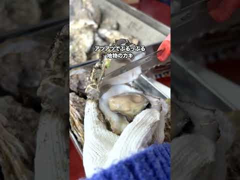 園芸 マリタイムメルテンシア、野菜カキ、野菜カキ、海赤根