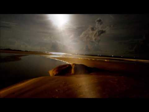 Step Into Tomorrow - Sergey Saliev