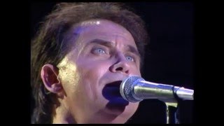 Pooh - Pierre - Live 1991