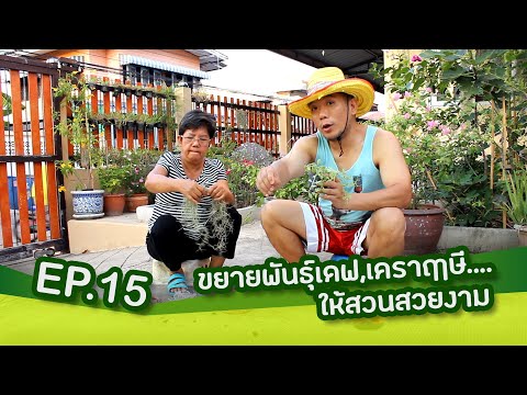 คลิกเพื่อดูคลิปวิดีโอ