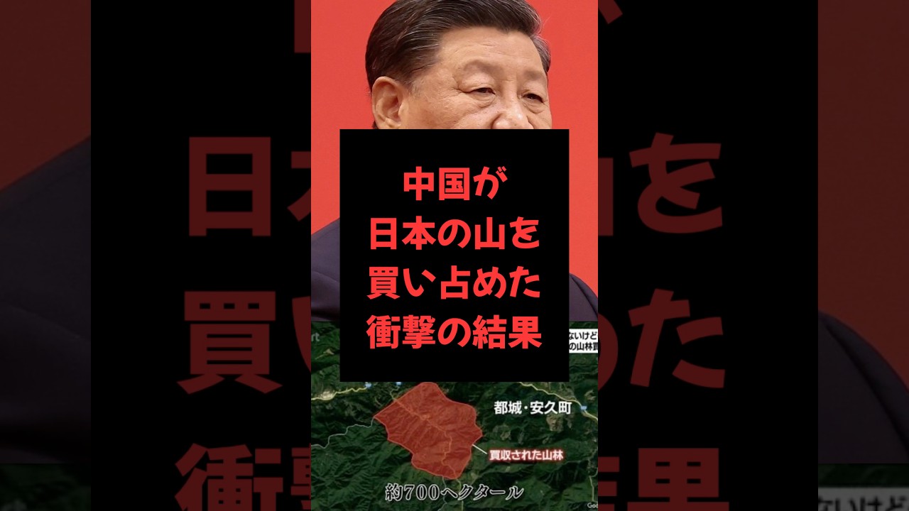 【雑学】中国さん日本の土地を買取る　#雑学 #中国 #土地 #日本 #山