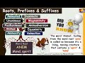 Root Word ANIM And Derived Words Illustrated Vocabulary Through Roots Prefixes And Suffixes