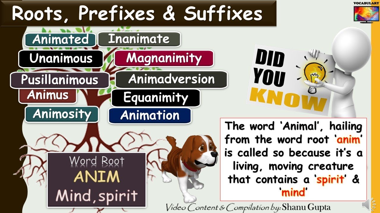 Root Word: ANIM and derived words Illustrated (Vocabulary through Roots, Prefixes and Suffixes)