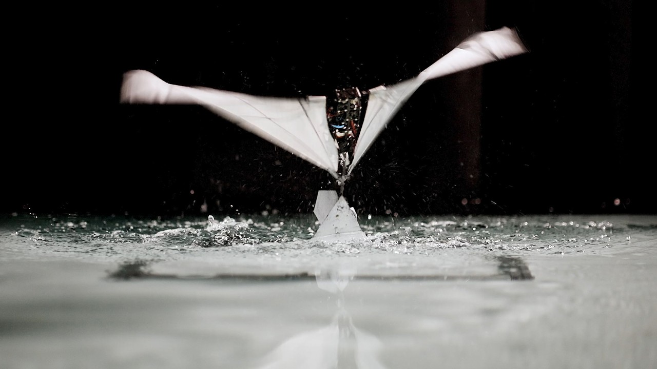 Puffin-Inspired Robot that Swims and Flies - YouTube