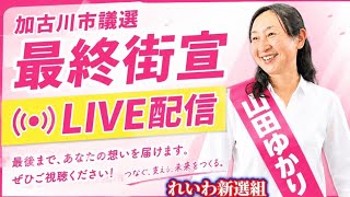 Download lagu 「れいわ新選組」山田ゆかりマイク納め mp3