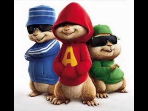 Chipmunks - Cvija Tripujes