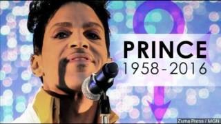 Prince and the Revolution - Let&#39;s Go Crazy (12&quot; Special Dance Mix) 1984