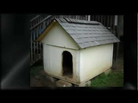 download lagu mp3 mp4 Roofing Contractors Birmingham Al, download lagu Roofing Contractors Birmingham Al gratis, unduh video klip Roofing Contractors Birmingham Al