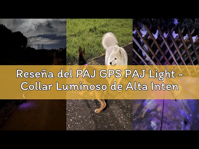 Vídeo relacionado con PAJ - Light - Collar Luminoso de Alta Intensidad para Perros de Todos los tamaños - Longitud Ajustable 20-70cm - 100% Impermeable - 7 Colores - Máxima Visibilidad y Seguridad Nocturna