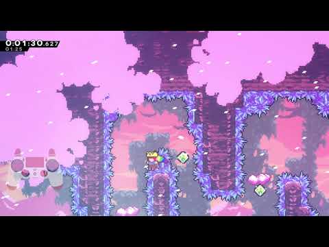 D1D7 with Invincibility in 11:31