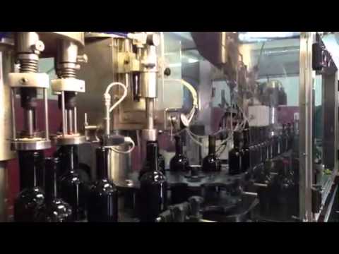 Imbuteliere vin - Posted by Aurelia Visinescu Wines